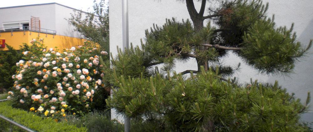Lindleinsmuehle Hotel 3*